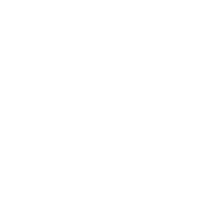 The Brand Logo for Your official Porsche dealer for the greater Wellington region