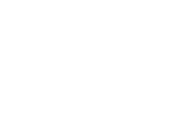 Leapmotor